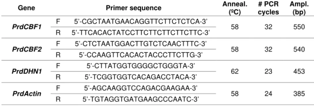 Table  2.  Primer  sequences  and  corresponding  amplification  cycles  and  amplicon  sizes  for  each  primer  combination  used  for  semi-quantitative  RT-PCR