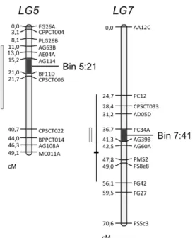 Figure 6 shows the schematic representation of LGs 5 and 7 with the  location of bins 5:21 and 7:41