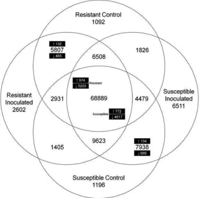 Figure 3.2 - Venn diagram of the number of unique and shared contigs between  the two genotypes and its expression