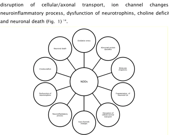 Fig.  1- Cellular features that contribute to neuronal loss.  