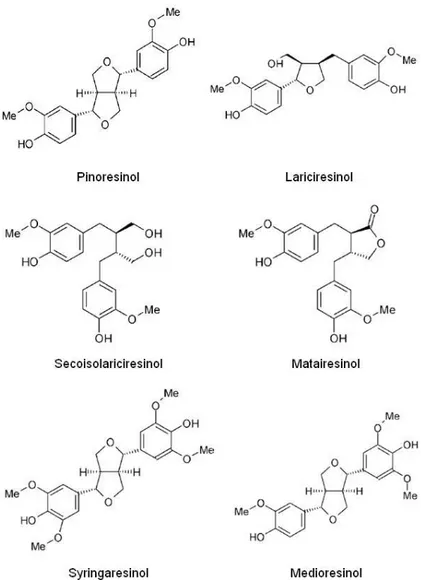 Figure 11. Commonly occurring lignans in plants 