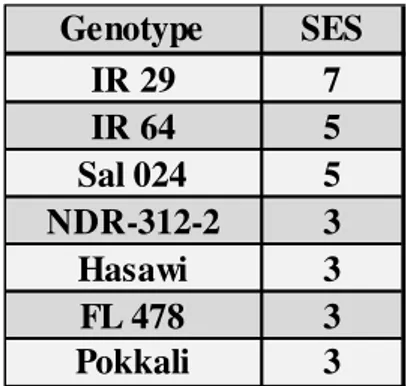 Figure 1 shows salt stress visual injuries effects on selected genotypes. 