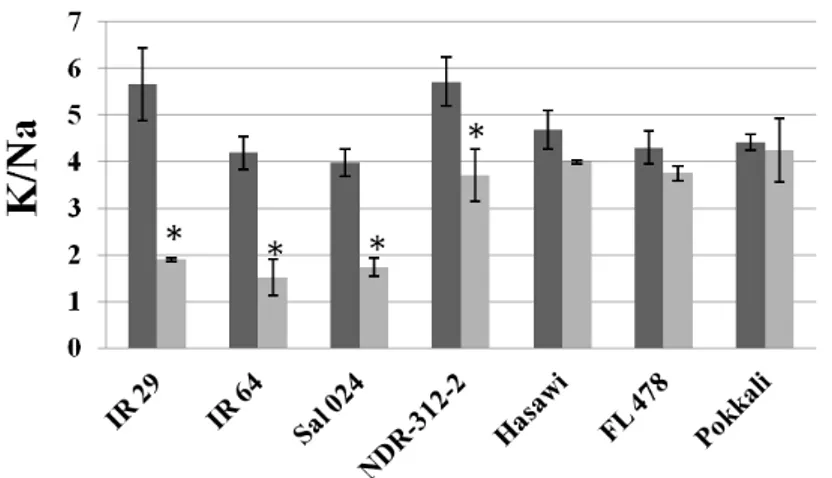 Figure  3.  Analysis  of  K/Na  ratio  in  the  shoot  of  different  rice  genotypes