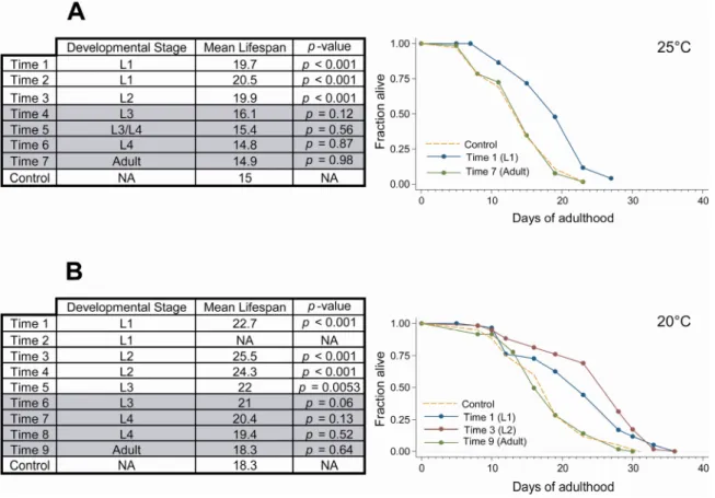 Figure 4 - Mitochondrial knock down after the L3 postembryonic stage is  insufficient to increase longevity