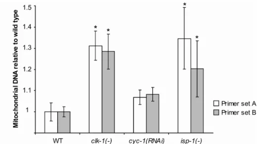 Figure 5 - Mitochondrial DNA quantification. Percent increase in total  mitochondrial DNA relative to wild type, as measured by qPCR