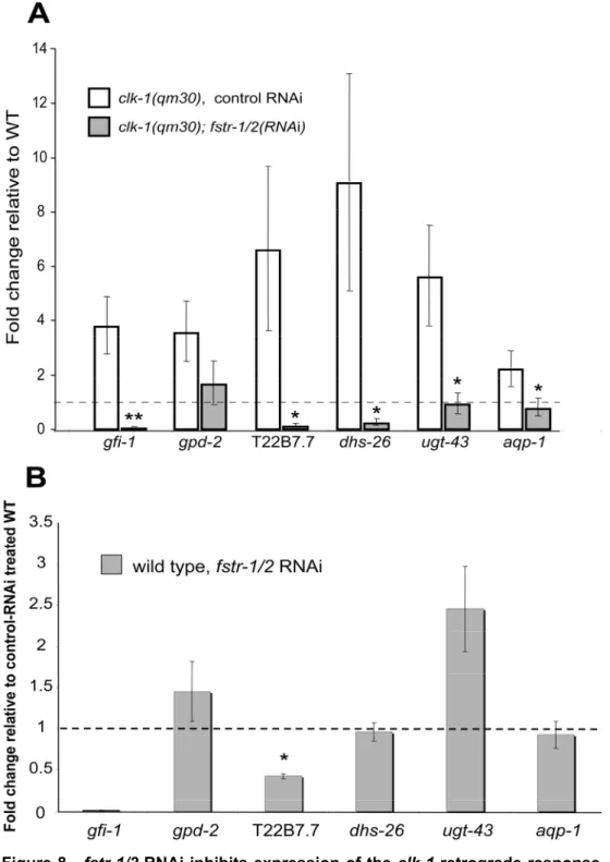 Figure 8 - fstr-1/2 RNAi inhibits expression of the clk-1  retrograde response. 