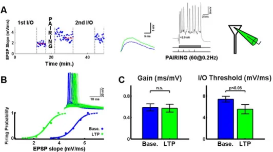 Fig. 4: Potentiation of the excitatory strength decreases the threshold without  changing the gain of neuronal I/O functions