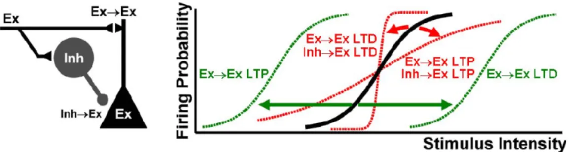 Fig. 8: I/O Threshold and Gain Plasticity. 