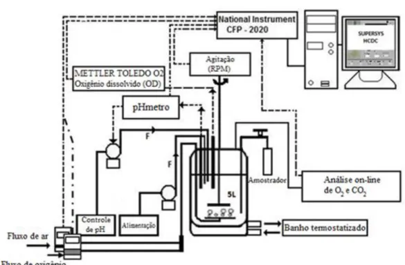 Figura 3.2. - Esquematização do biorreator com sistema de aquisição e controle das variáveis  do processo