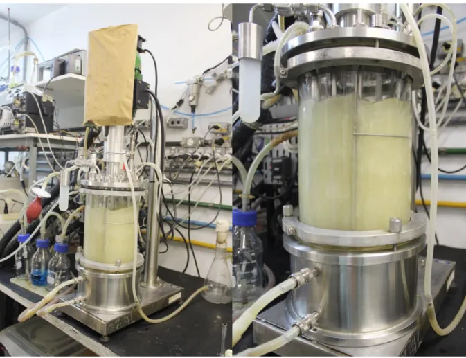 Figura 3.9. - Imagem do biorreator em operação durante experimento e detalhe do caldo de  cultivo em seu interior