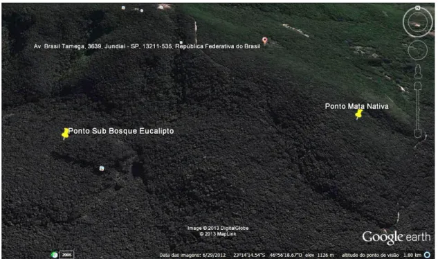 Figura 6. Localização das armadilhas, nas áreas de coleta. Fonte: Google Earth Software, (2013)
