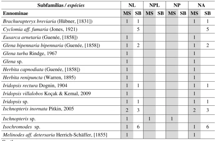 Tabela  1.  Espécies  de  Geometridae  (Lepidoptera)  obtidas  sobre  plantas  hospedeiras  em  ambiente  de  mata  mesófila semidecidua (MS) e de sub-bosque nativo em meio a eucalipto (SB), na Reserva Biológica Municipal  da  Serra  do  Japi,  Jundiaí,  S