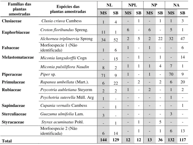 Tabela 2.  Plantas amostradas e  abundância  de  larvas  de  Geometridae  em ambiente  de  mata  mesófila  semidecidua (MS) e de sub-bosque nativo em meio a eucalipto (SB), na Reserva Biologica Municipal da Serra  do Japi, Jundiaí, SP