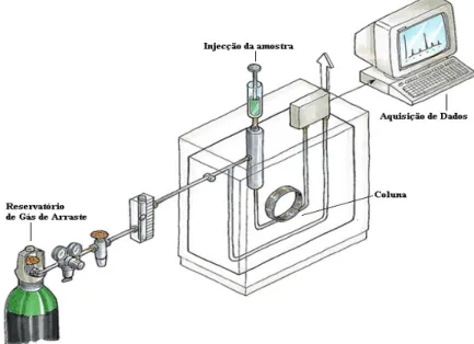 Figura 1. Esquema básico de um cromatógrafo de gás (Adaptado de: http://hiq.aga.com.br) 