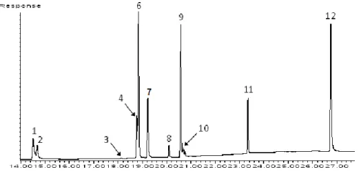 Figura 31 – Cromatograma de GC-ECD de uma mistura dos compostos organofosforados  em estudo 