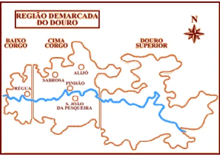 Ilustração 2 - Limites da Região Determinada do Douro