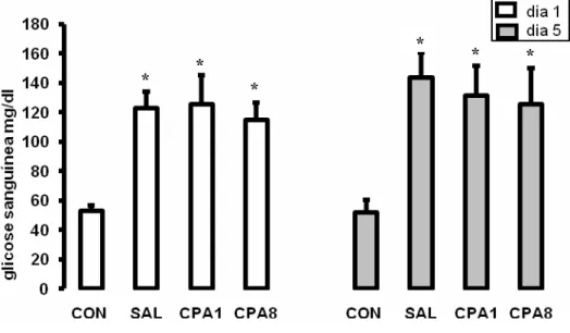 Figura 4. Média (±E.P.M.) da glicose sanguínea dos animais submetidos a uma (dia 1) ou 5 sessões de  confinamento (dia 5) e pré-tratados com salina (SAL), clorfeniramina na dose de 1 mg/kg (CPA1) ou 8 mg/kg  (CPA8)