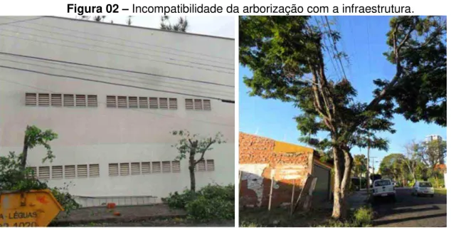 Figura 02  – Incompatibilidade da arborização com a infraestrutura. 