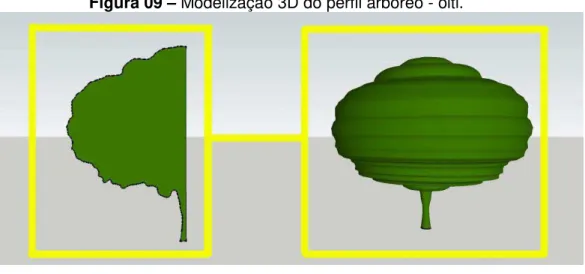 Figura 09  – Modelização 3D do perfil arbóreo - oiti.  