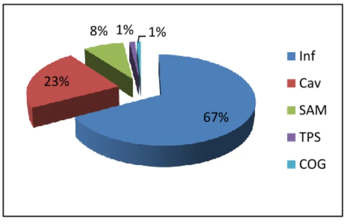 Figura nº 4 - Categoria de Oficiais 