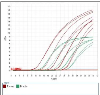 Figura  5  -  Curvas  padrão  do  ensaio.  Curvas  geradas  a  partir  da  região  linear  dos  5  pontos de diluição (1:10), dos padrões clonados para o T