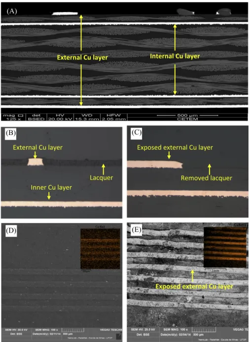 Fig. 4. SEM micrographs of a cross sectional area of PCB fragments showing 4 copper layers (a), lacquer covering the entire section (b), view after lacquer coating removal (c);