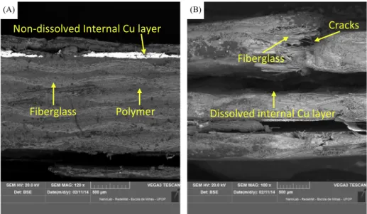 Fig. 5. SEM micrographs/BSE of bioleached 20 mm PCB: without pre-weakening but with lacquer removal only (a); jaw-crusher pre-weakening followed by lacquer removal (b)