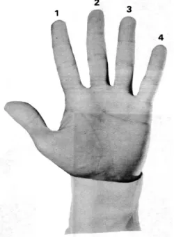 Figura 2: Nomenclatura dos dedos mão esquerda (PINTO, 1978, p.24).   
