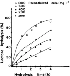 Figure  3.  Percent  hydrolysis  of  lactose  in  milk  at  35°C  as  a  function  of  time  and  permeahilized  Kluyveromyces  lactis  cells addition• 