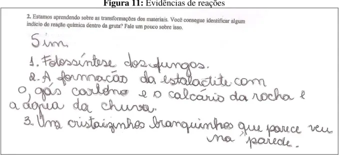 Figura 11: Evidências de reações 