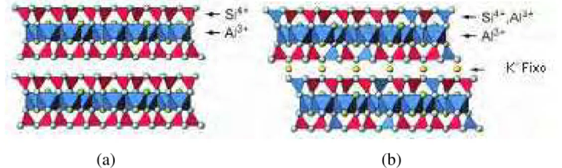 Figura 2.4: Esquema estrutural de minerais de argila baseado em folhas octaédricas e  tetraédricas: (a) Pirofilita; (b) Mica (DIXON &amp; SCHULZE, 2002)