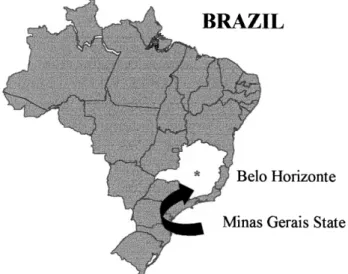 Fig. 1. Geographic location of Minas Gerais State, Brazil [10].