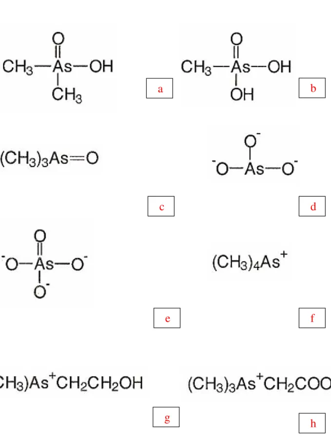 Figura 1.7  –  Estrutura dos compostos naturais de As, WHO, 2001. a - ácido dimetilarsínico, b - ácido  metilarsônico, c - óxido de trimetilarsina, d - arsenito, e - arsenato, f - íon tetrametilarsônico,  