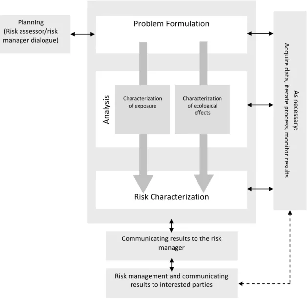 Figure I.2. The Ecological Risk Assessment procedure according USEPA (1998). 