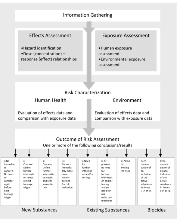 Figure  I.3.  Risk  Assessment  procedure  for  new  substances,  existing  substances  and  substances of concern present in a biocidal product according the European Commission  procedures (EC, 2003)