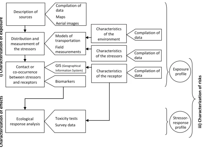 Figure II.4. Analysis plan.       represent analysis steps;       indicate methods and      indicate  exposure and effects profiles 