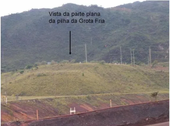 Figura 4.1 - Vista parcial da Pilha Grota Fria (parte plana) 