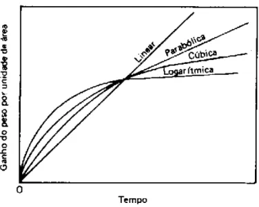 Figura 3.5 Leis de velocidade de oxidação [11].