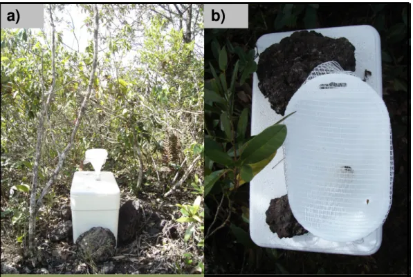 Figura 2.7: a) Pluviômetro instalado na formação campestre b) Detalhe para a tela utilizada no revestimento do funil no  intuito de evitar a contaminação por detritos 