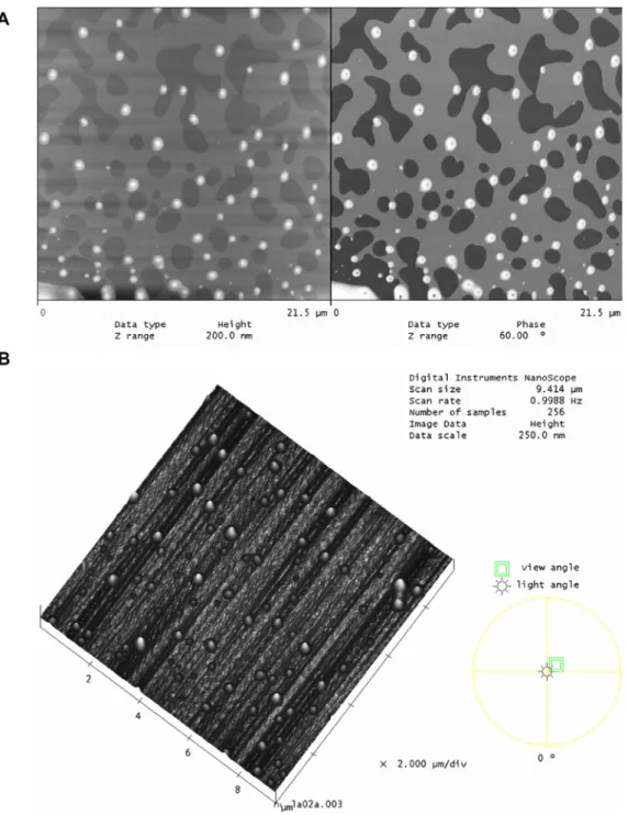 Fig. 7 shows the in vitro drug release profiles of free AlClPc and AlClPc-loaded PLA NS, PLA NC, PLA-PEG NC and PLGA NC in the first 7 days