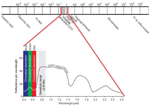 Figure 16. The EM spectrum and an idealized spectral reflectance curve of a healthy vegetation (Wim et al 2009)