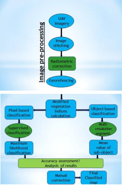 Figure 21. Scheme of methodology 