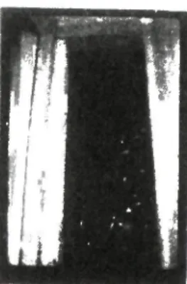 Fig. 8 - Aspecto dos vãos interiores e da lareira, no P sobrado. 