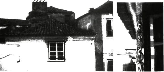 Fig. 6 - Vista exterior, ao nível do segundo sobrado,  e detalhe da decoração fitomórfíca