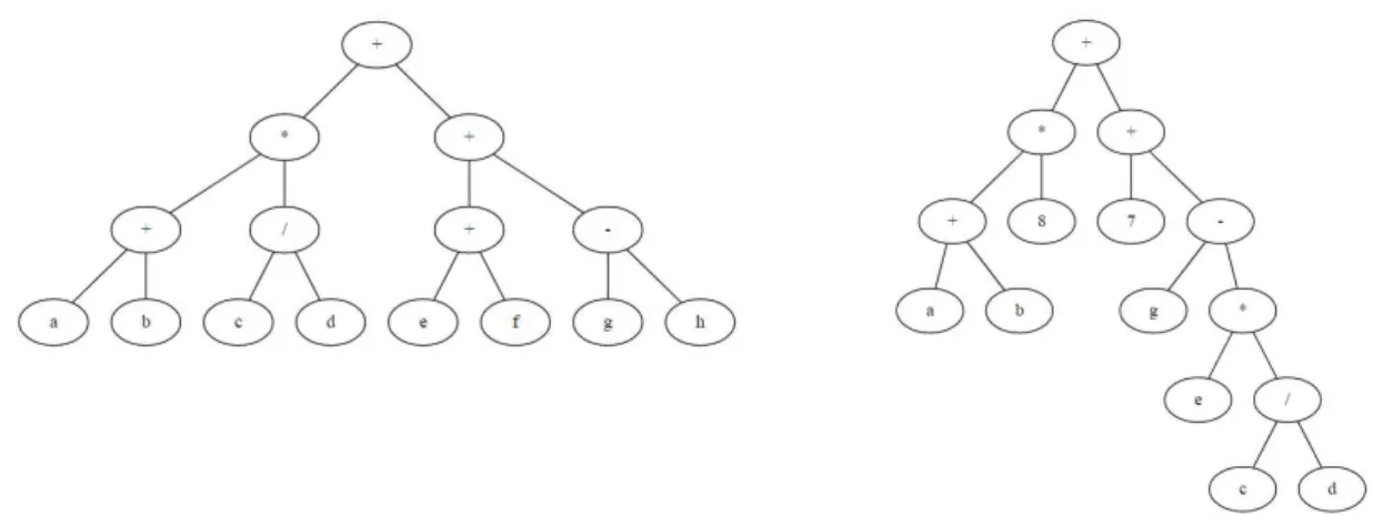 Figure 21: On the Left, a tree created with the full algorithm, and on the right, a tree initialized with  the growth algorithm