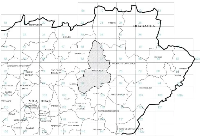 Ilustração N.º 2 – Localização e centralidade do Concelho de Mirandela na Província de Trás- Trás-os-Montes 