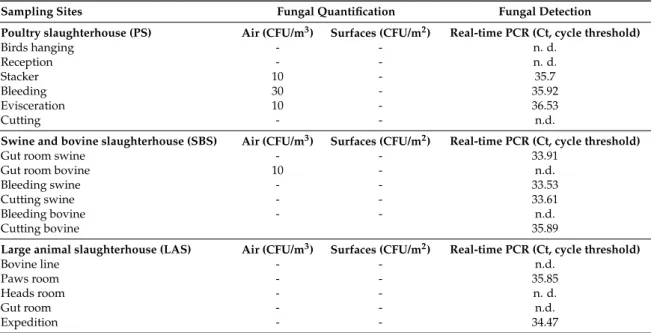 Table 5. Conventional quantification of isolates and molecular detection from A. fumigatus complex in the three slaughterhouses.
