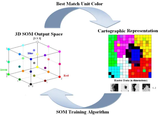 Fig.  1 .  Linking  SOM’s  knowledge  to  cartographic  representation.  A  colour  is  assigned  to  each  SOM  unit  (following the topological order)