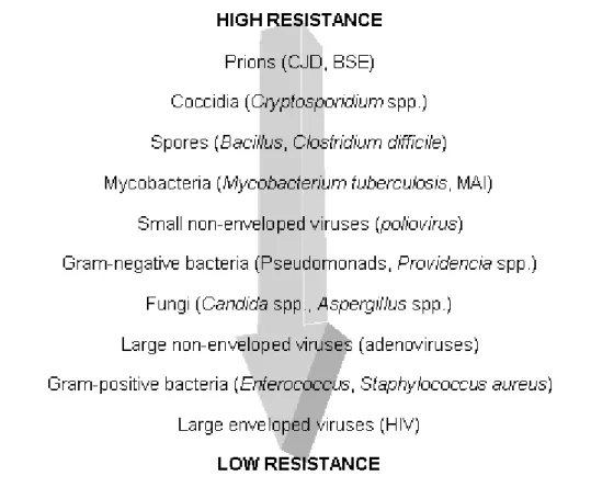 Figure 1. Classification of microorganisms according to their sensitivity to biocides