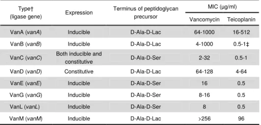 Table 1. Types of vancomycin resistance found in  Enterococcus  spp. 